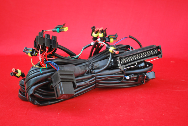 �M��(���ô�)